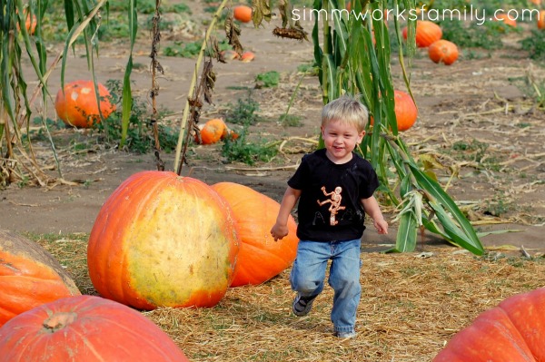 Bates Nut Farm 2011 ethan pumpkins resized