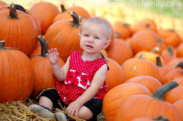 Bates Nut Farm 2011 molly pumpkins resized