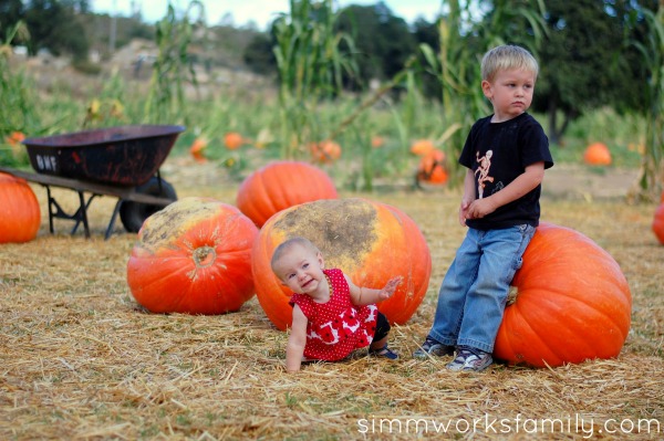 Bates Nut Farm 2011 pumpkin photos resized