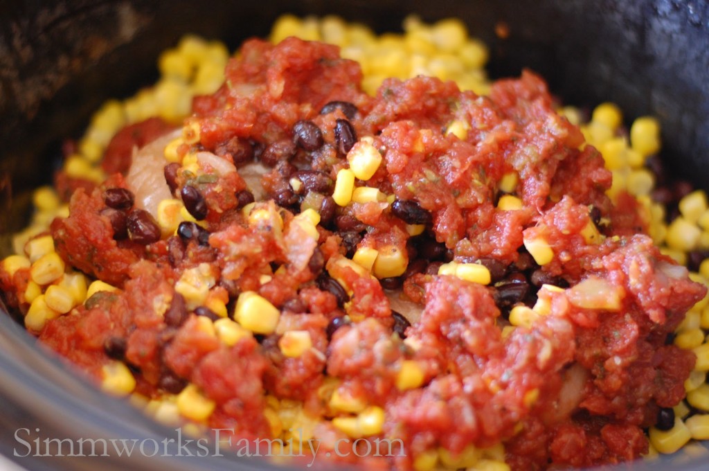 Crockpot Salsa Chicken 2