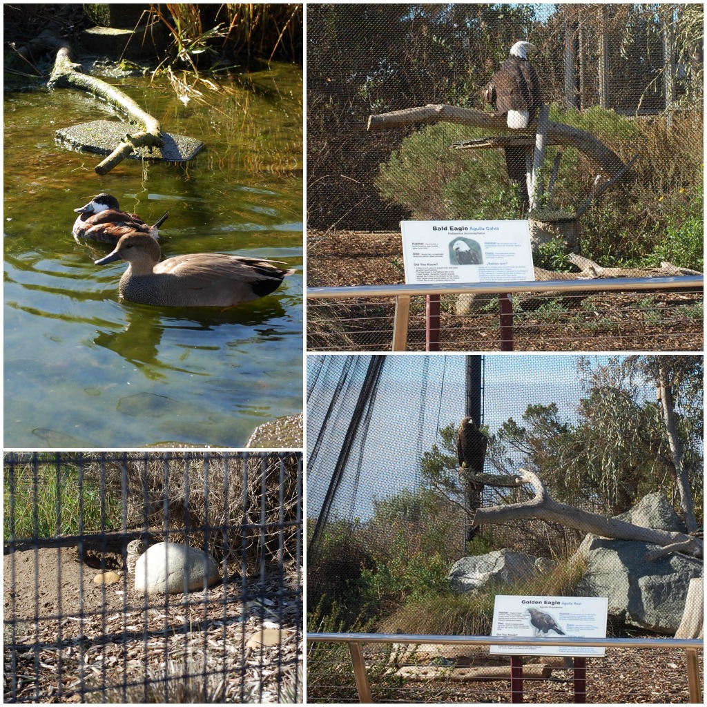 Living Coast Discovery Center San Diego