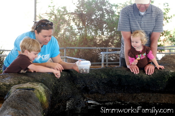 Living Coast Discovery Center