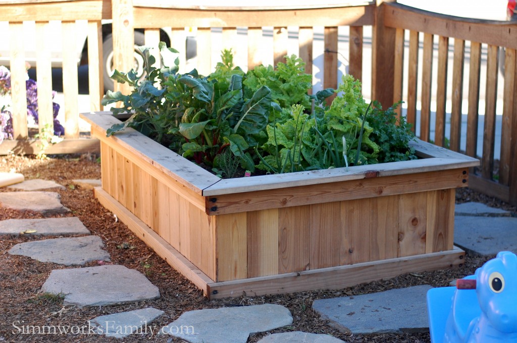 Gardening with Kids