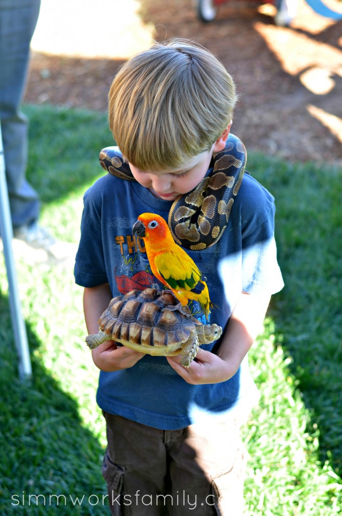 reptile birthday party reptiles and birds