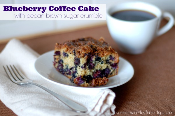 blueberry coffee cake with pecan brown sugar crumble