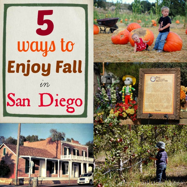 5 ways to enjoy fall in san diego