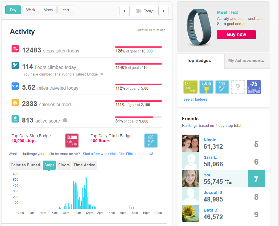 Fitbit One Activity