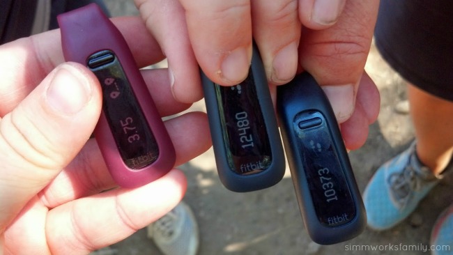 Fitbit One display