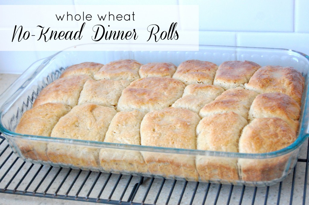 no knead dinner rolls