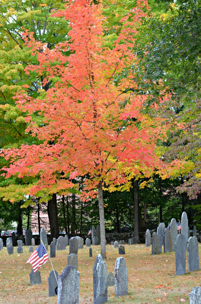 st bernard's cemetery boston trip 2013