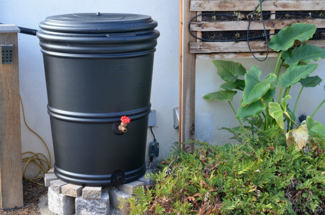 Rain Barrel Rebate Program San Diego