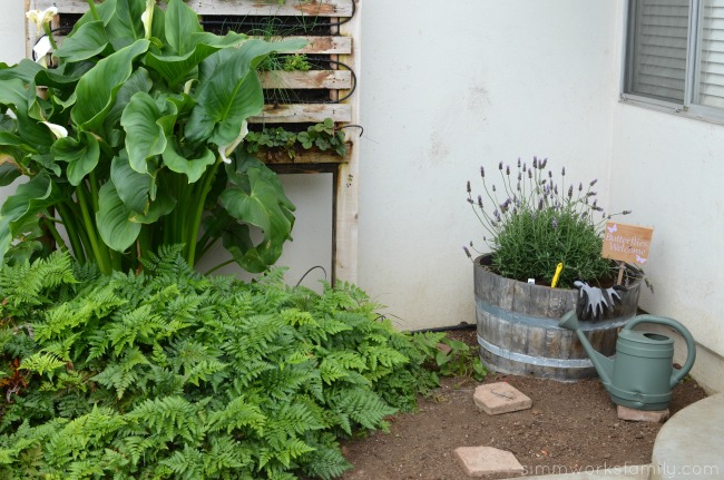 Gardening with Kids lavender butterfly garden