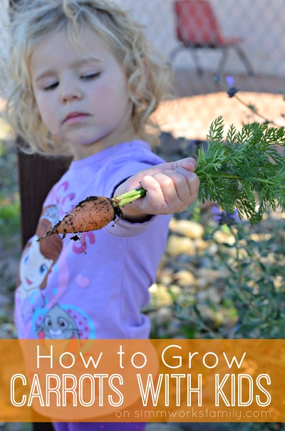 How to Grow Carrots with Kids