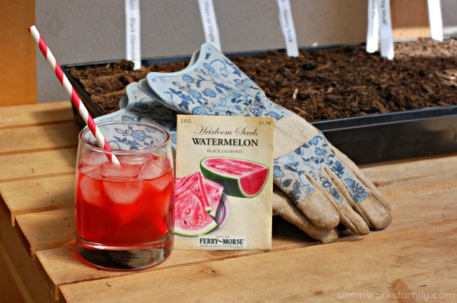 DIY Fruit Juice Dyed Watermelon Windsock enjoying KoolAid