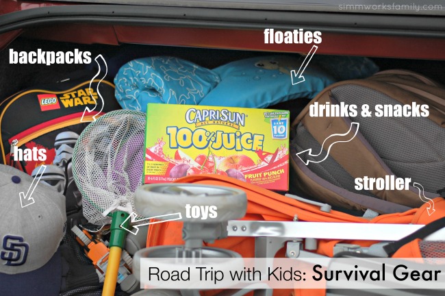 Road Trip with Kids Survival Gear