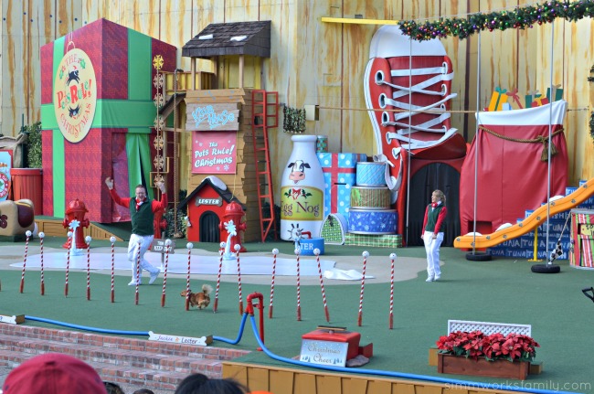 SeaWorld's Christmas Celebration - Pets Rule Christmas show