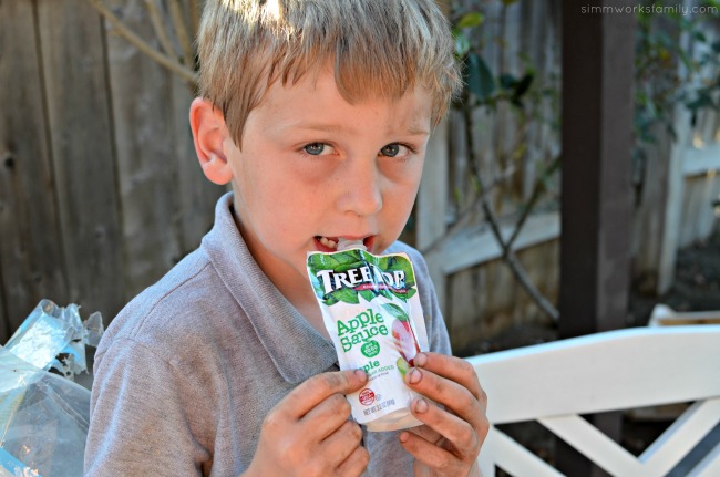 DIY Milk Carton Bird Feeder - Tree Top Apple Sauce Pouches