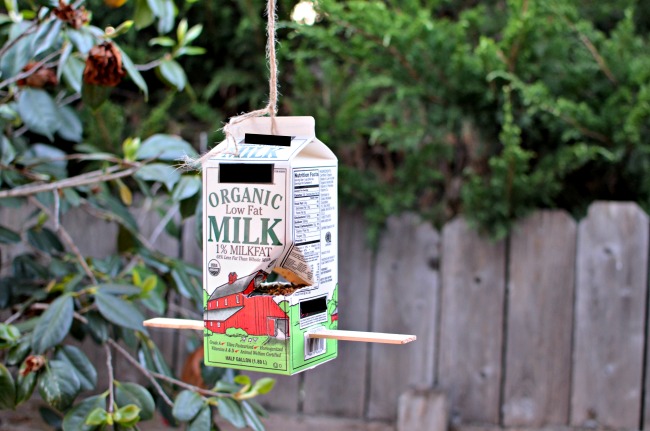 DIY Milk Carton Bird Feeder - a quick and easy DIY project for kids