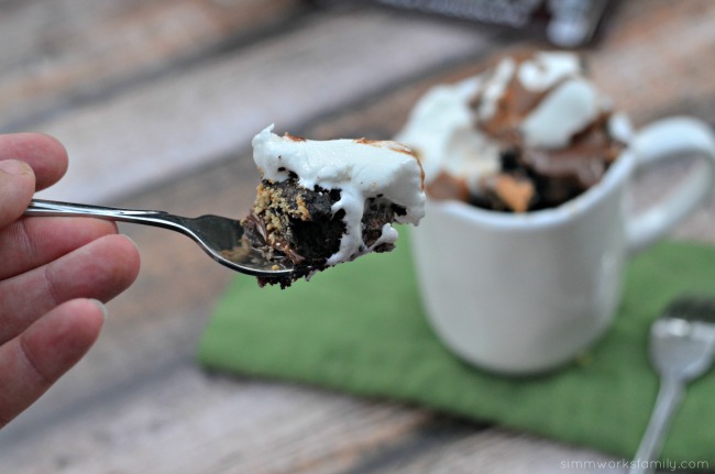 Peanut Butter Fudge S'mores Mug Cake Recipe bite