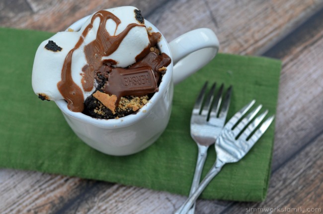 Peanut Butter Fudge S'mores Mug Cake Recipe with toasted marshmallows