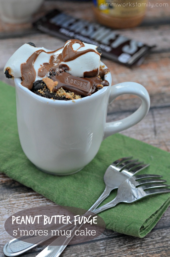 Peanut Butter Fudge S'mores Mug Cake Recipe