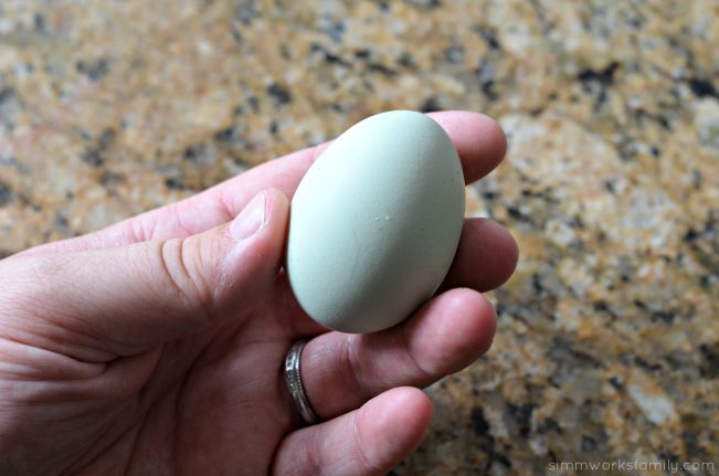 Easter Egger Egg