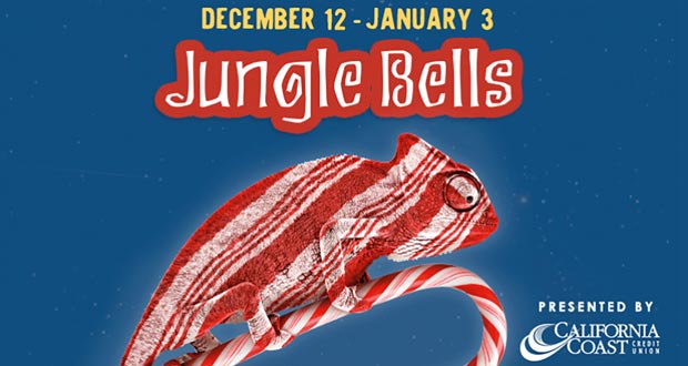 What to Expect at the San Diego Zoo Jungle Bells Holiday Event