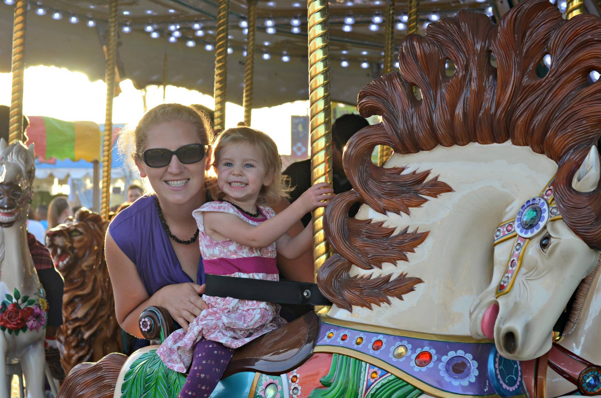 San Diego County Fair Carousel 2013