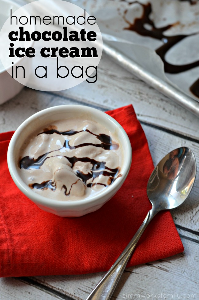 Science in the Kitchen Homemade Chocolate Ice Cream In A Bag