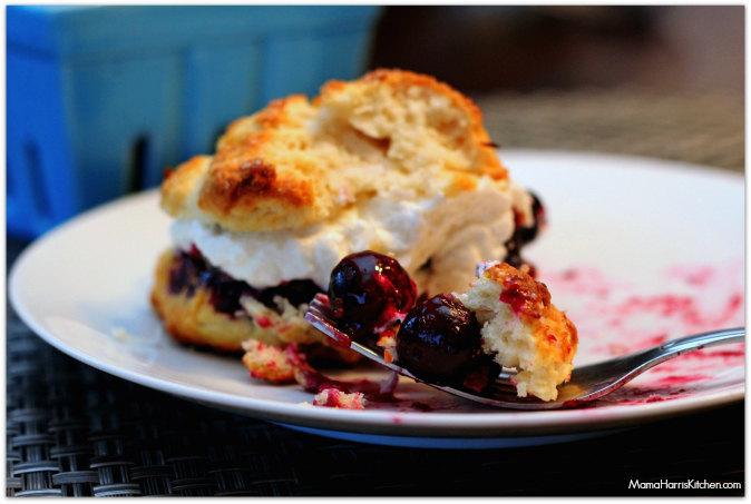 blueberry-coconut-shortcake