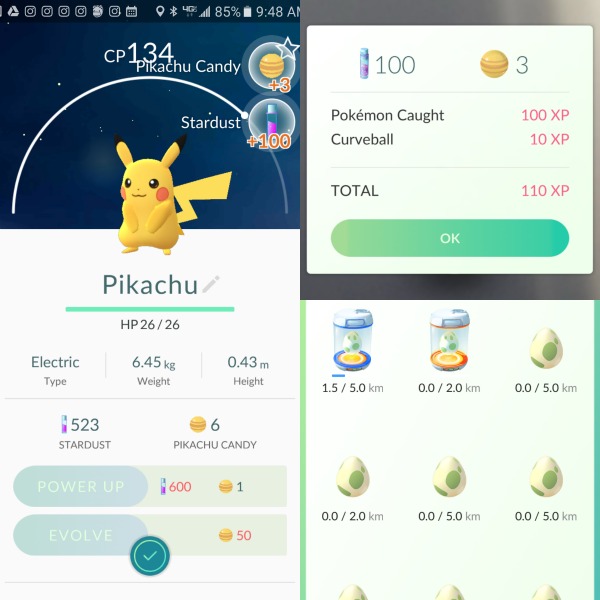 Pikachu Caught in Pokemon Go