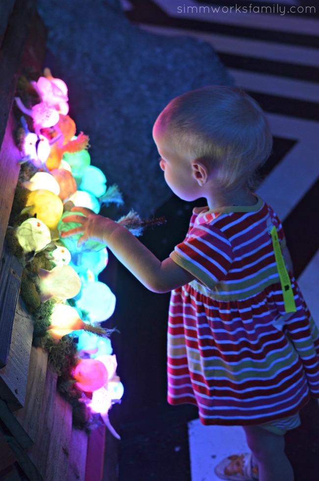 explore santa fe meow wolf treehouse lights