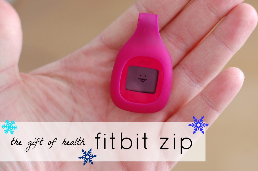 Clip on best sale fitbit zip