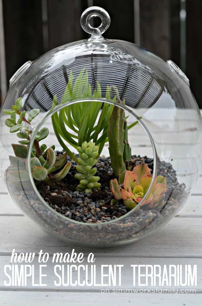 How To Make A Simple Succulent Terrarium