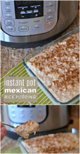 Instant Pot Mexican Rice Pudding - A Crafty Spoonful