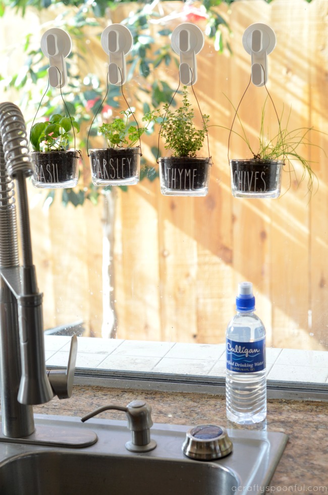 Easy to Make DIY Indoor Hanging Herb Garden for the Kitchen