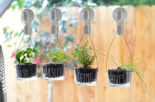 Easy To Make Diy Indoor Hanging Herb Garden For The Kitchen