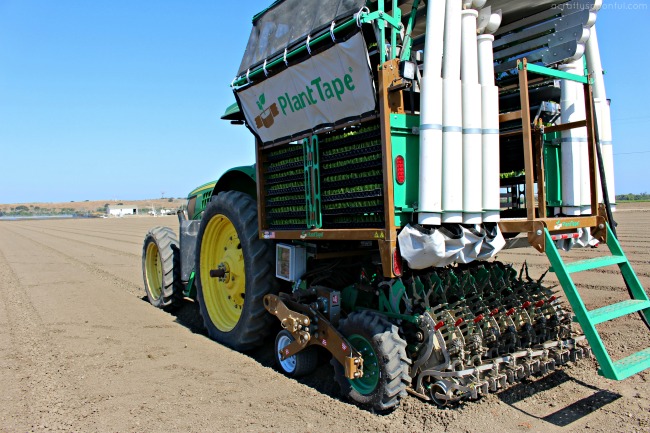 PlantTape Transplanter Set Up - Loading Plants 