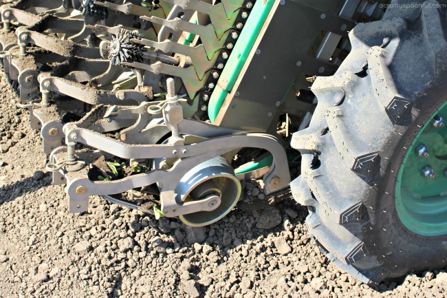 Planting seedlings at any stage: PlantTape offers flexibility to
