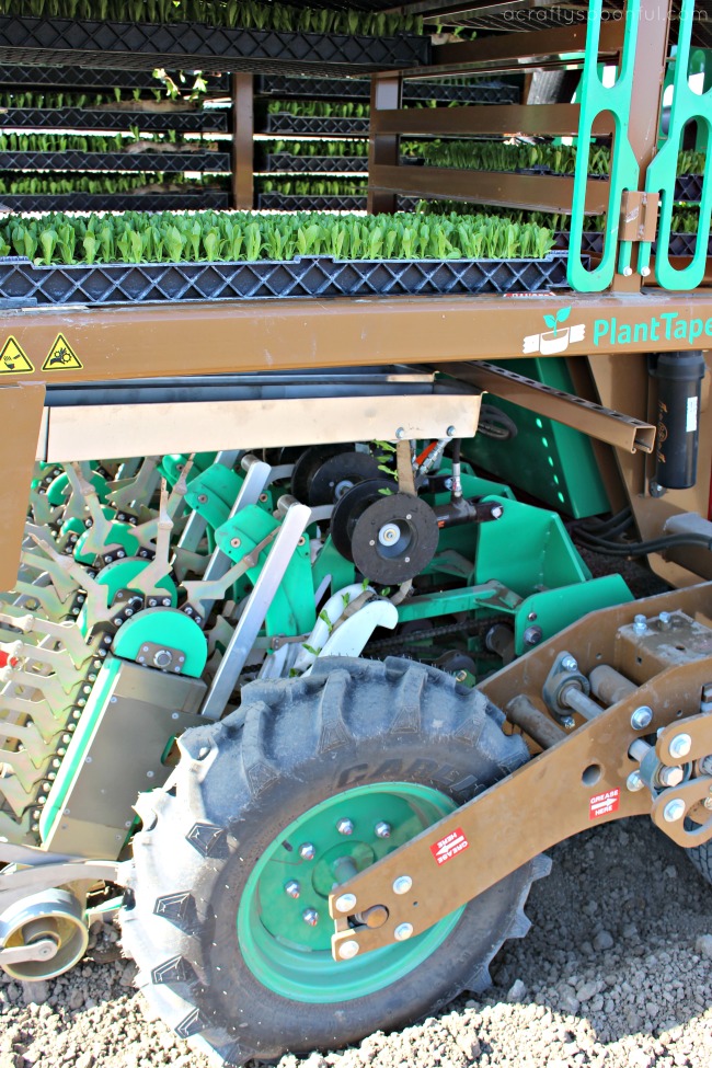 PlantTape Transplanter Set Up - Loading Plants 